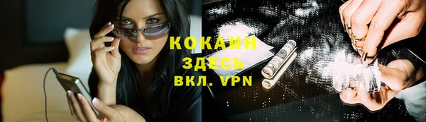 стафф Аркадак