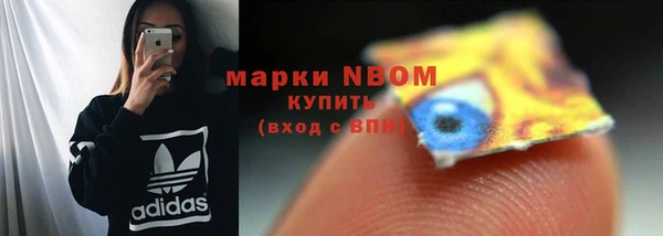 стафф Аркадак