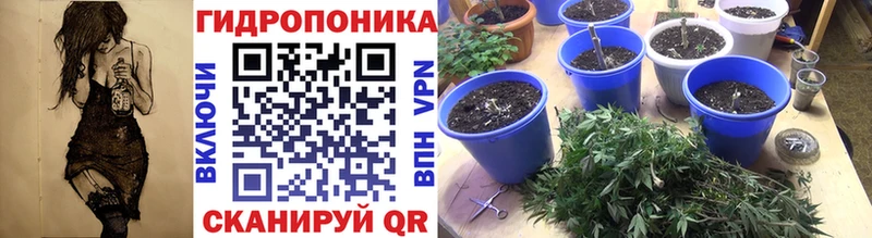 Купить закладки  Сковородино  Канабис ГИДРОПОН 